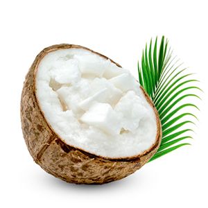 CoCo Nourishing Cold Cream With coconut oil